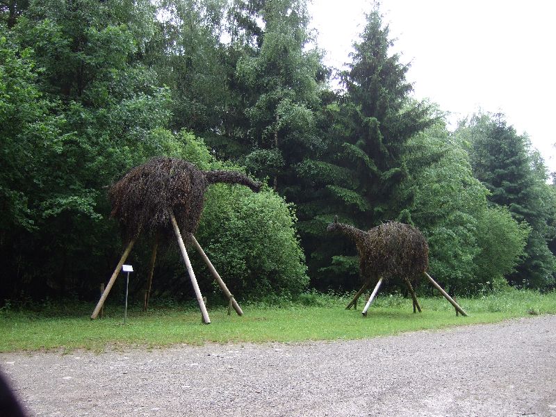 2011- 109.jpg